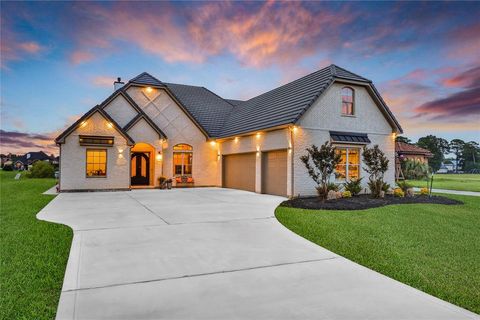 Single Family Residence in Montgomery TX 11612 Renaissance Drive.jpg