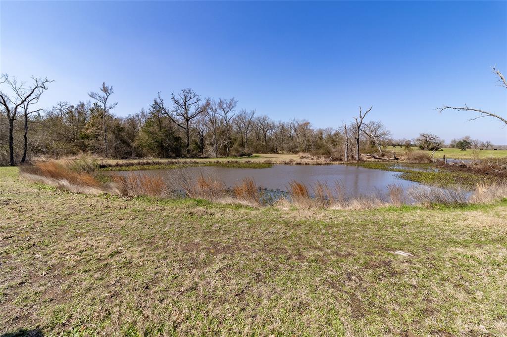 18081 Highway 90, Bedias, Texas image 35