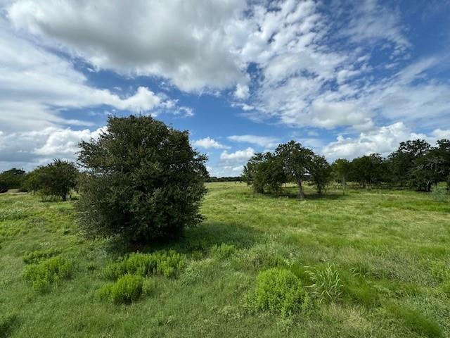 Tract 4 Walhalla Road, Round Top, Texas image 8