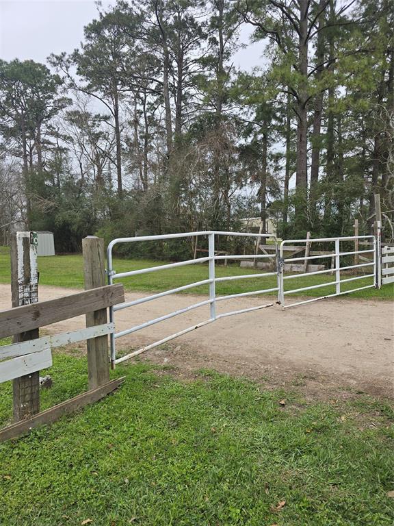 4308 Singletary Road, Alvin, Texas image 20