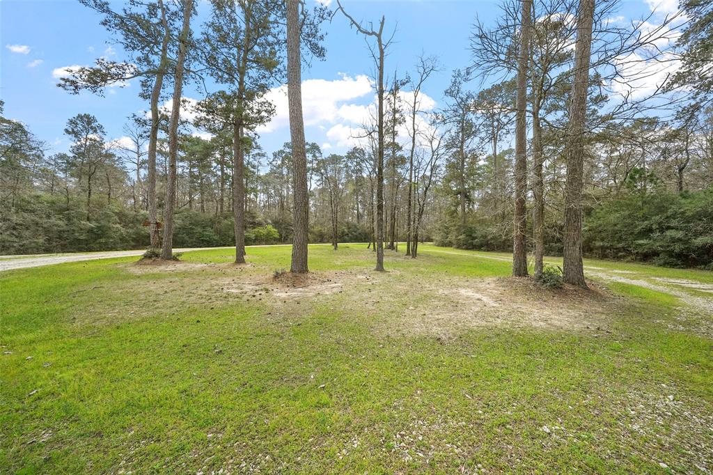 137 Port Au Prince Court, Montgomery, Texas image 29