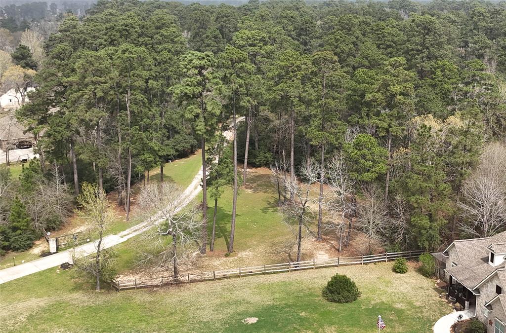 137 Port Au Prince Court, Montgomery, Texas image 43