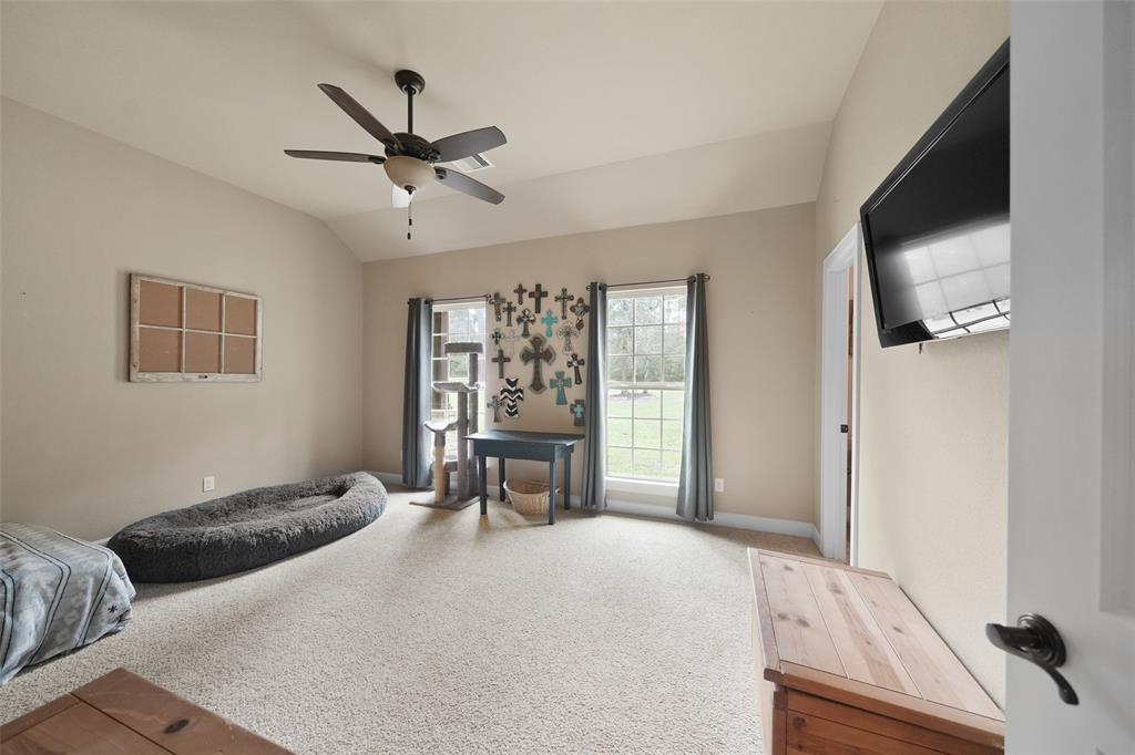 137 Port Au Prince Court, Montgomery, Texas image 7
