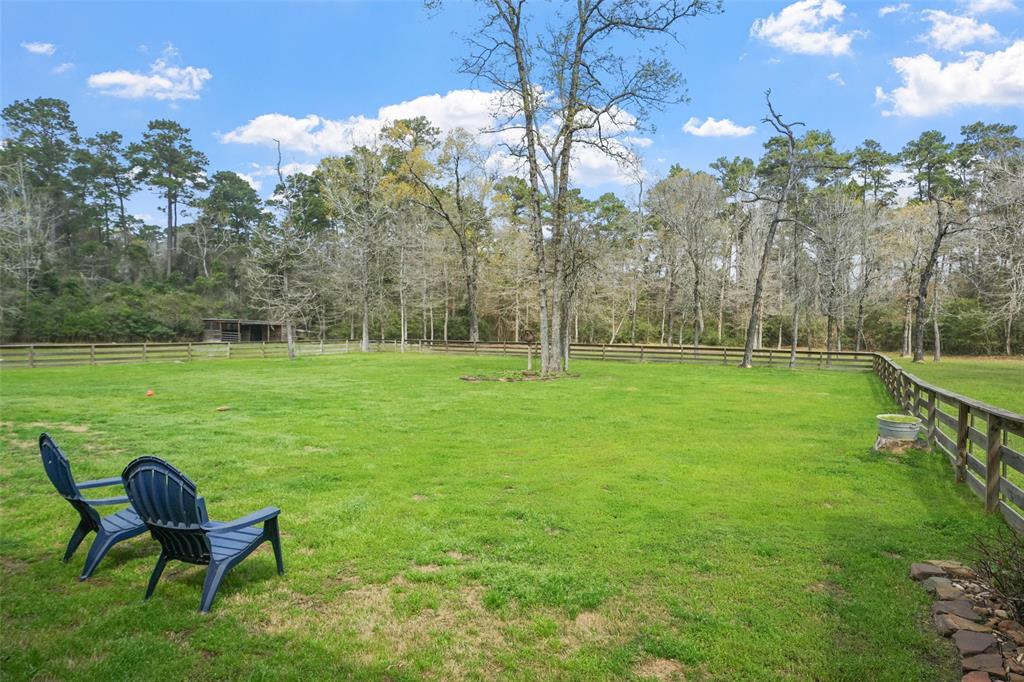 137 Port Au Prince Court, Montgomery, Texas image 31