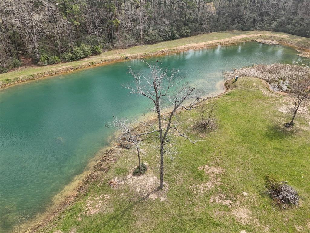 137 Port Au Prince Court, Montgomery, Texas image 34