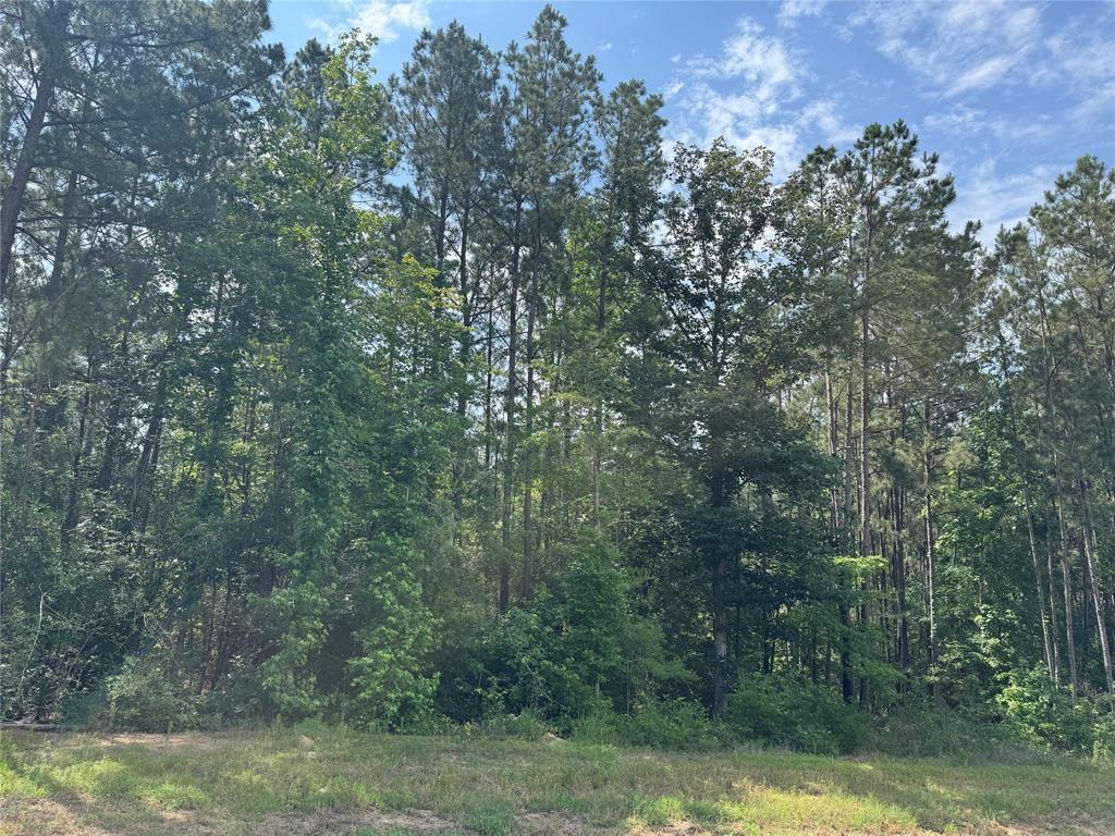 15810 Ridge Rock Road, Willis, Texas image 3