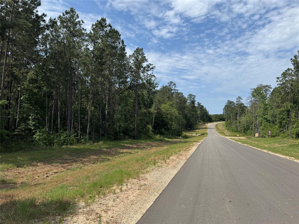 15810 Ridge Rock Road, Willis, Texas image 2