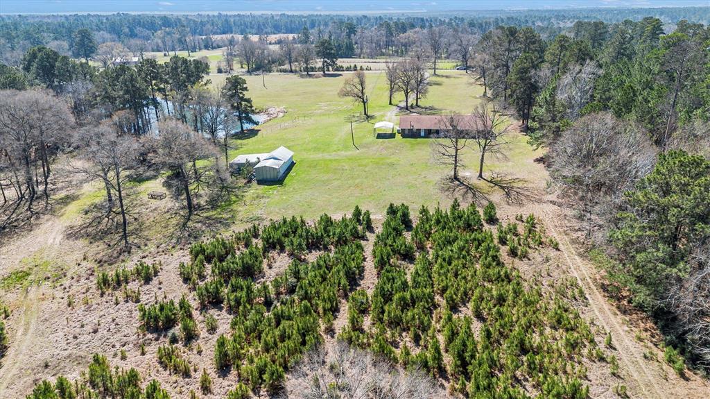 70 Paul Dixon Road, Huntsville, Texas image 46