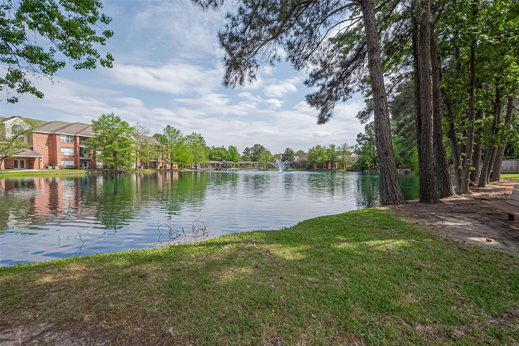 114 N Magnolia Pond Place #114, The Woodlands, Texas image 2