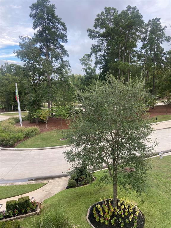 135 Teralyn Grove Loop, Conroe, Texas image 21