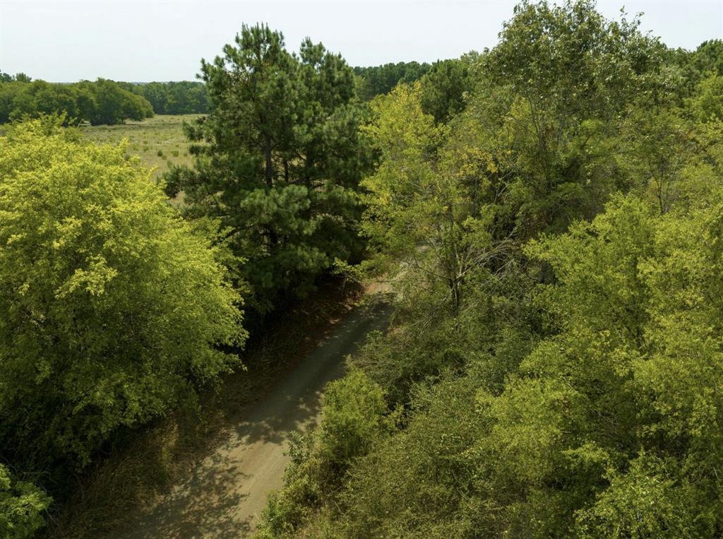 TBD Crocker Rd, Milam, Texas image 3