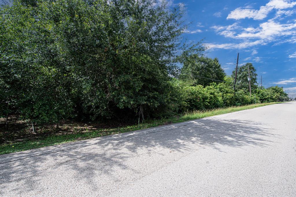 Saddle Spur Lane, Katy, Texas image 16