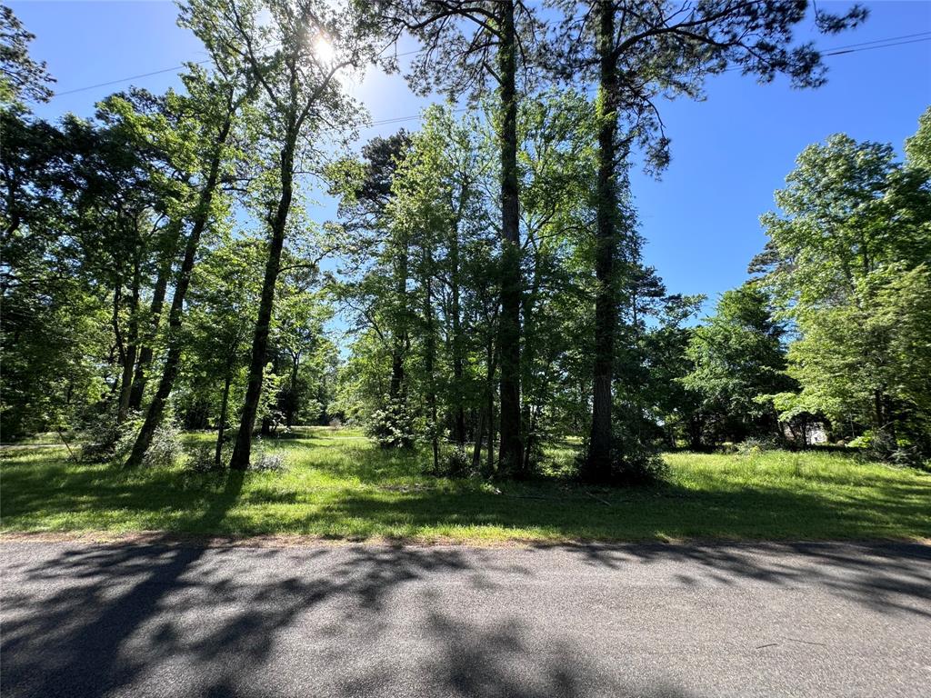 00 Tiki Trail, Livingston, Texas image 3