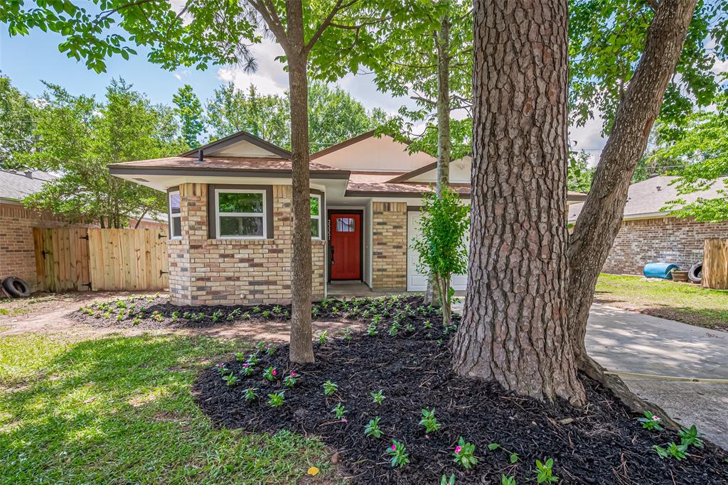 23331 Balthasar Street, Spring, Texas image 3