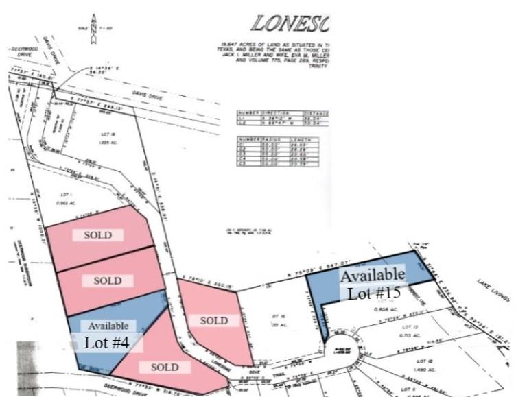 375 Lonesome Dove Trail, Trinity, Texas image 40