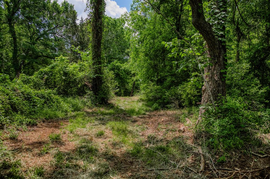 2645 Fm 1155 South, Chappell Hill, Texas image 39