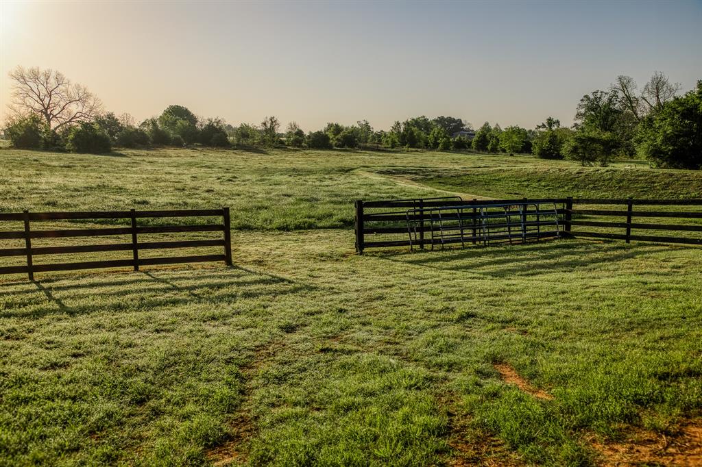 2645 Fm 1155 South, Chappell Hill, Texas image 34
