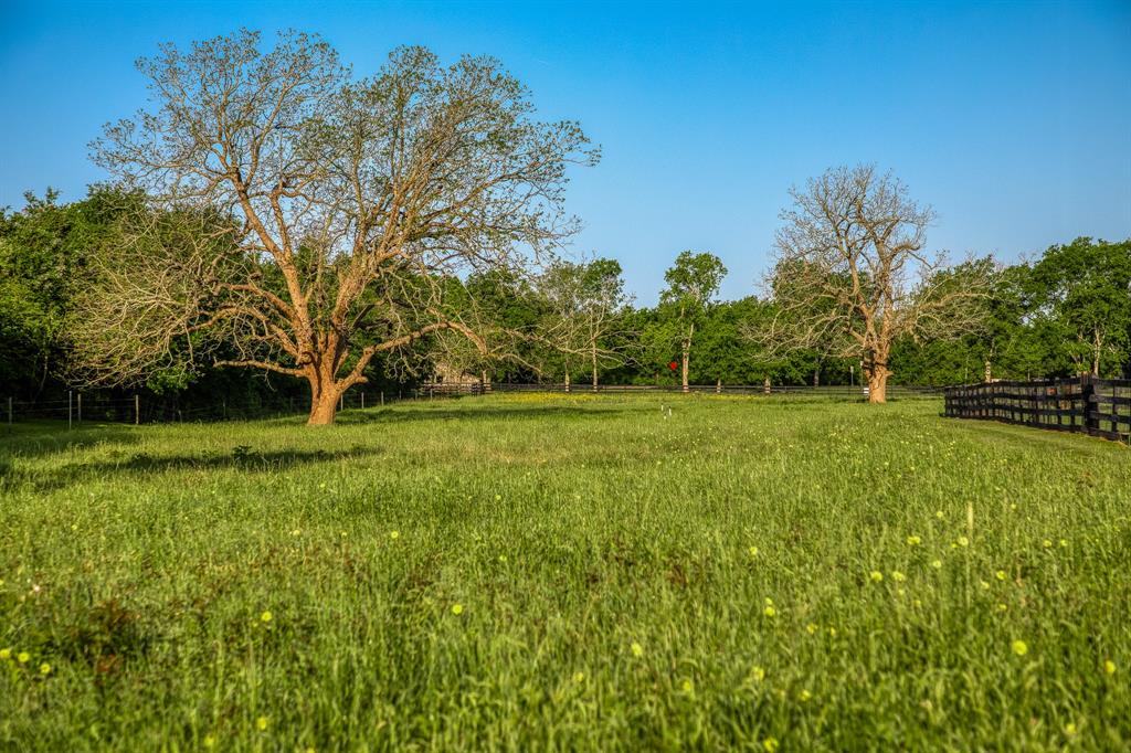 2645 Fm 1155 South, Chappell Hill, Texas image 42