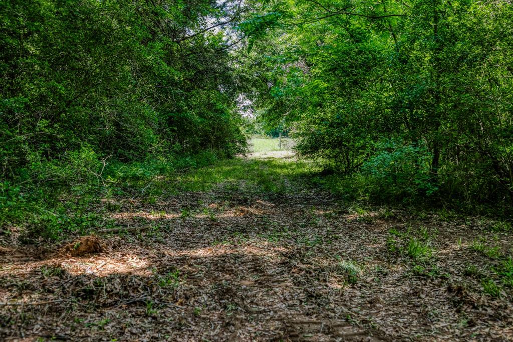 2645 Fm 1155 South, Chappell Hill, Texas image 41