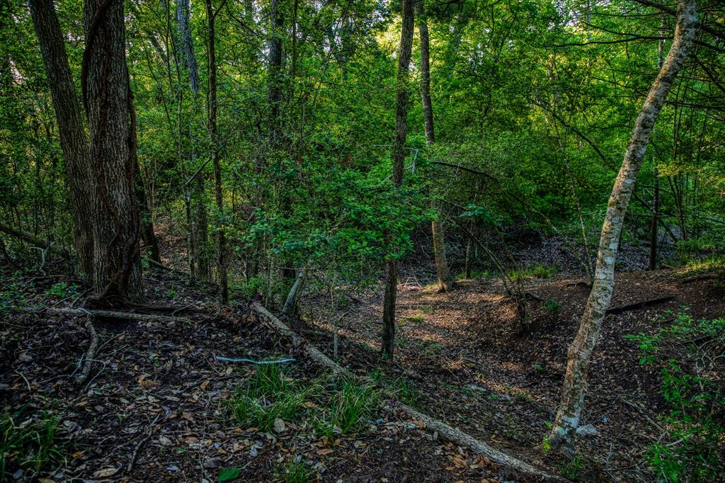 2645 Fm 1155 South, Chappell Hill, Texas image 49