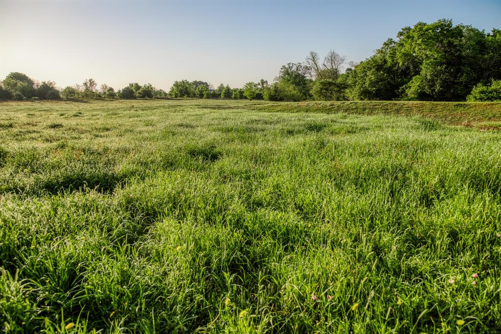 2645 Fm 1155 South, Chappell Hill, Texas image 38
