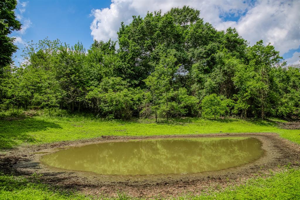 2645 Fm 1155 South, Chappell Hill, Texas image 40