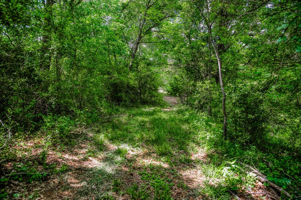 2645 Fm 1155 South, Chappell Hill, Texas image 37