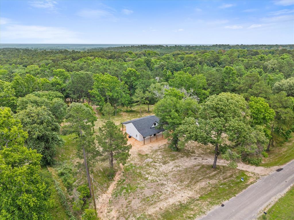 71 Prescott Drive, New Waverly, Texas image 35
