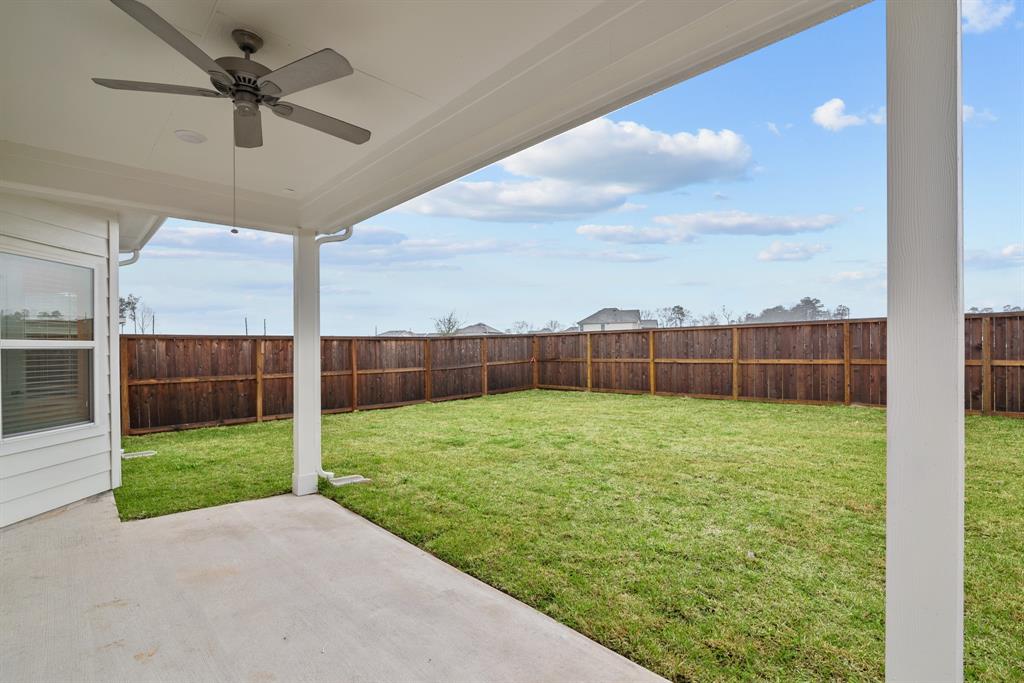 22310 Curly Maple Drive, New Caney, Texas image 6