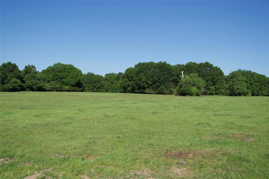 TBD Tract 10 St Delight Road, Paige, Texas image 3