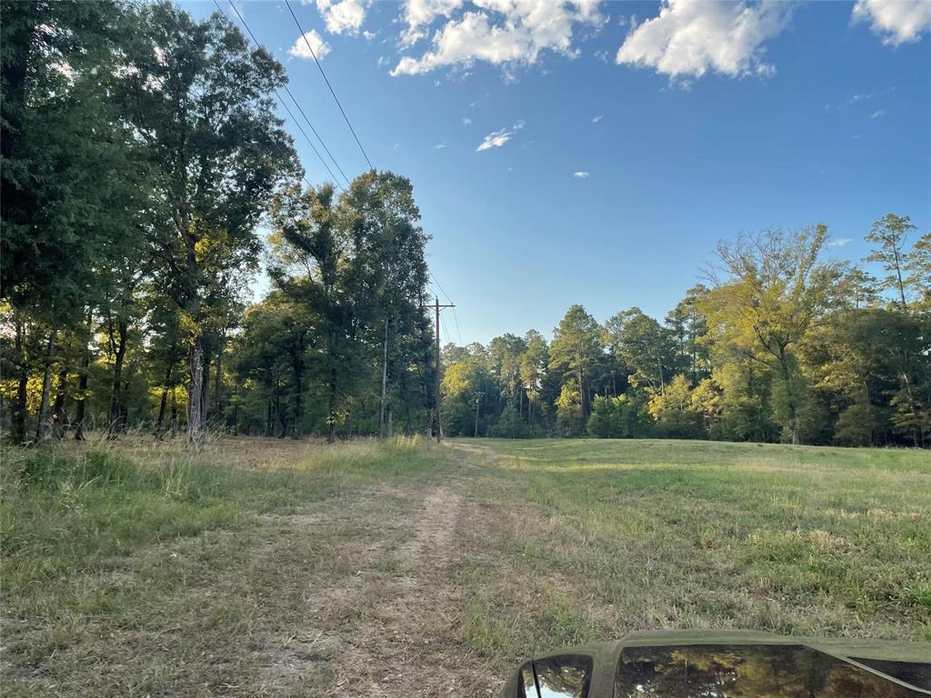 TBD Farm Road 3126, Livingston, Texas image 12