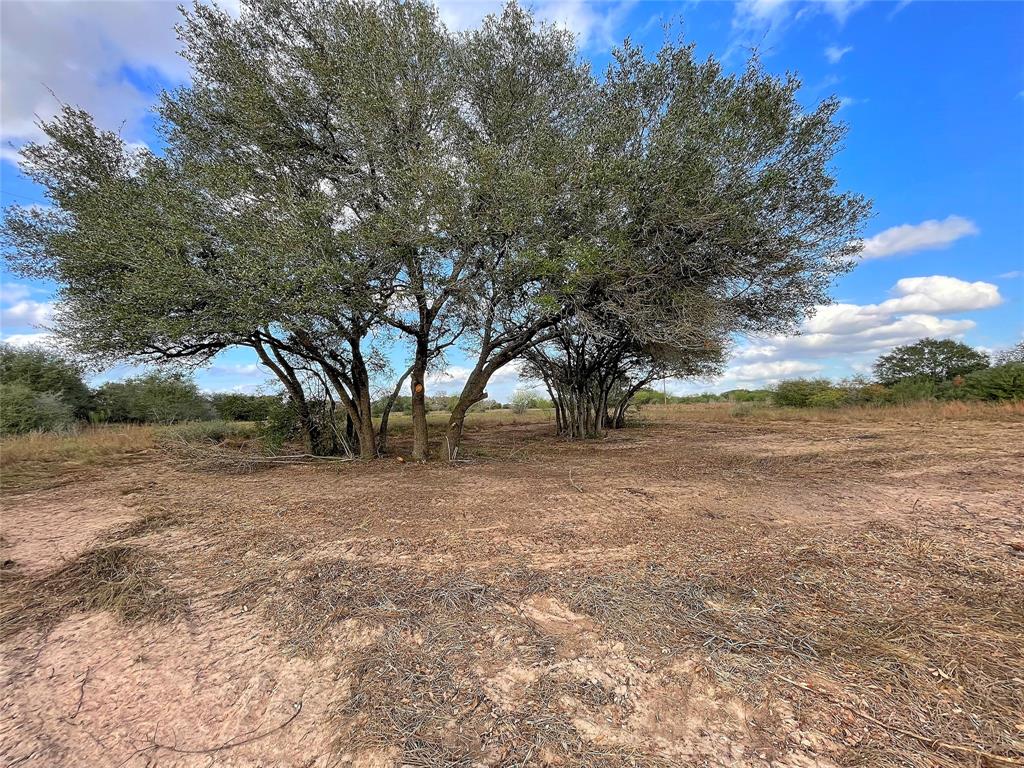 Tract 1 Hwy 71 South / Cr 102, Columbus, Texas image 1