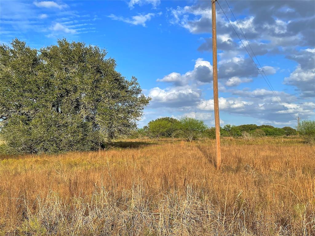 Tract 1 Hwy 71 South / Cr 102, Columbus, Texas image 5