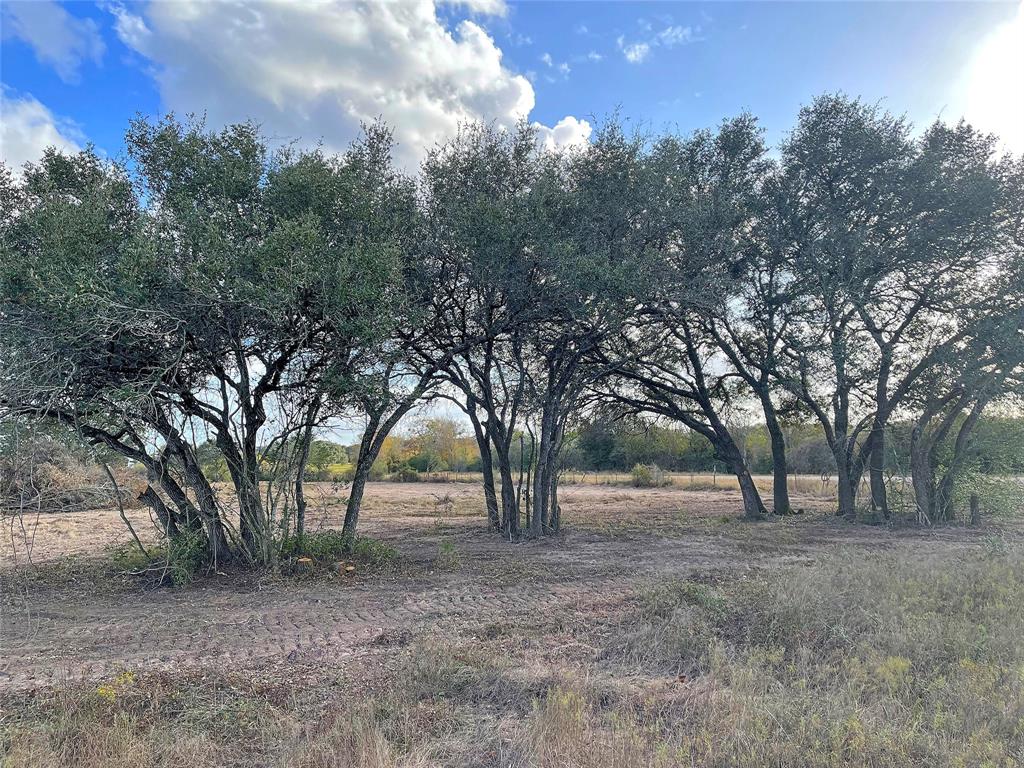 Tract 1 Hwy 71 South / Cr 102, Columbus, Texas image 8