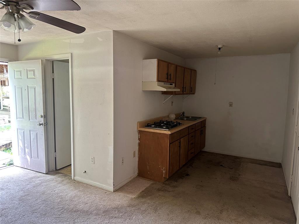 11739 White Cedar Street, Willis, Texas image 7