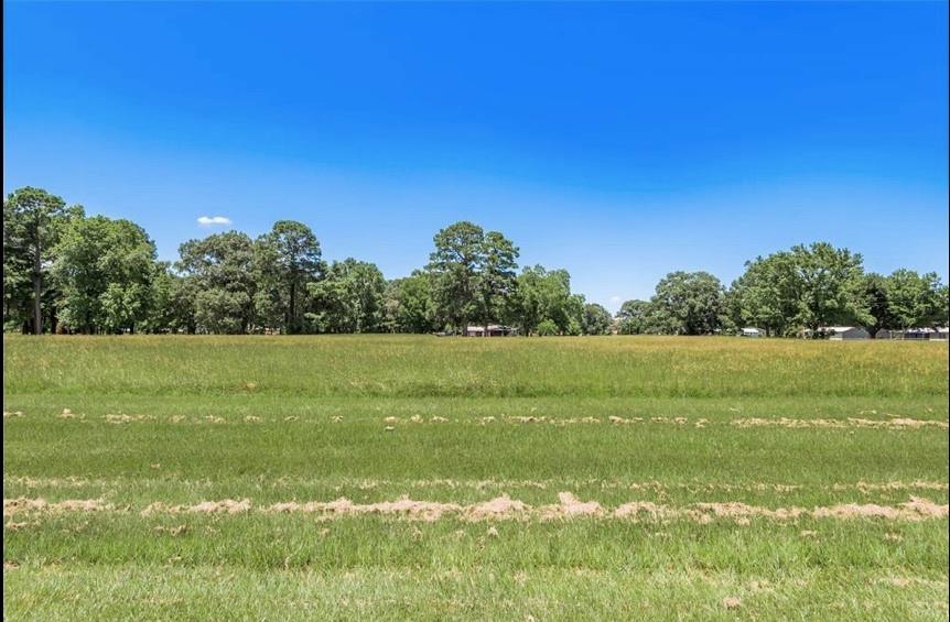 Lot 6 Liendo Drive, Trinity, Texas image 3