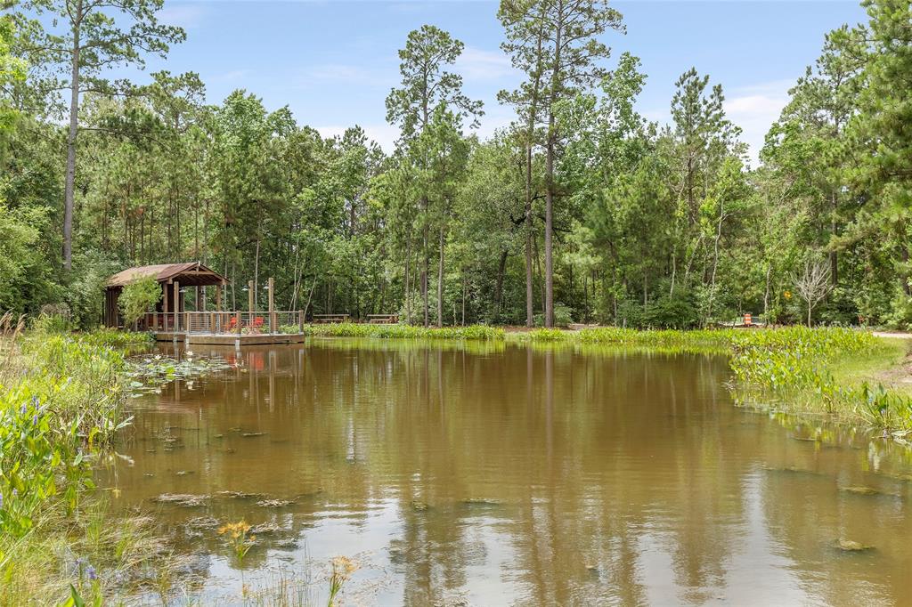 11914 Parsifal Creek Road, Humble, Texas image 47