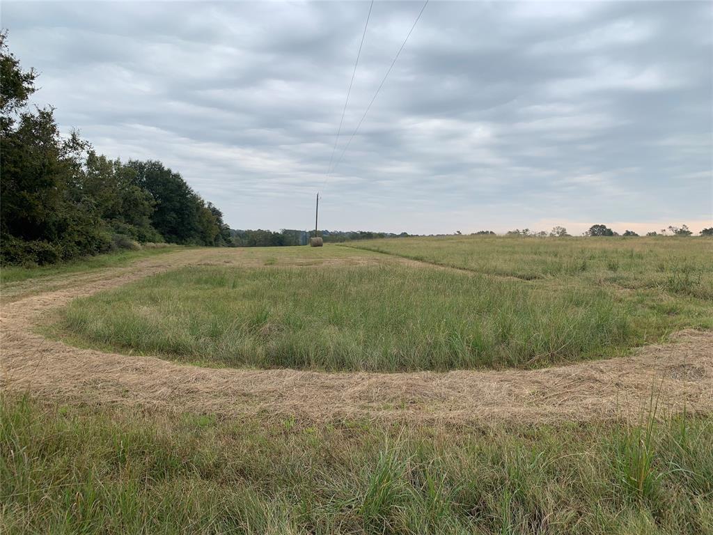 000 Hwy 6, Hempstead, Texas image 6