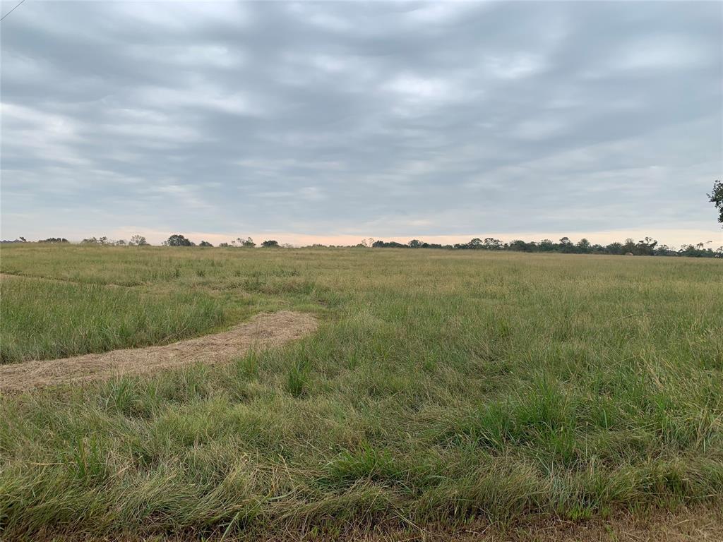 000 Hwy 6, Hempstead, Texas image 3