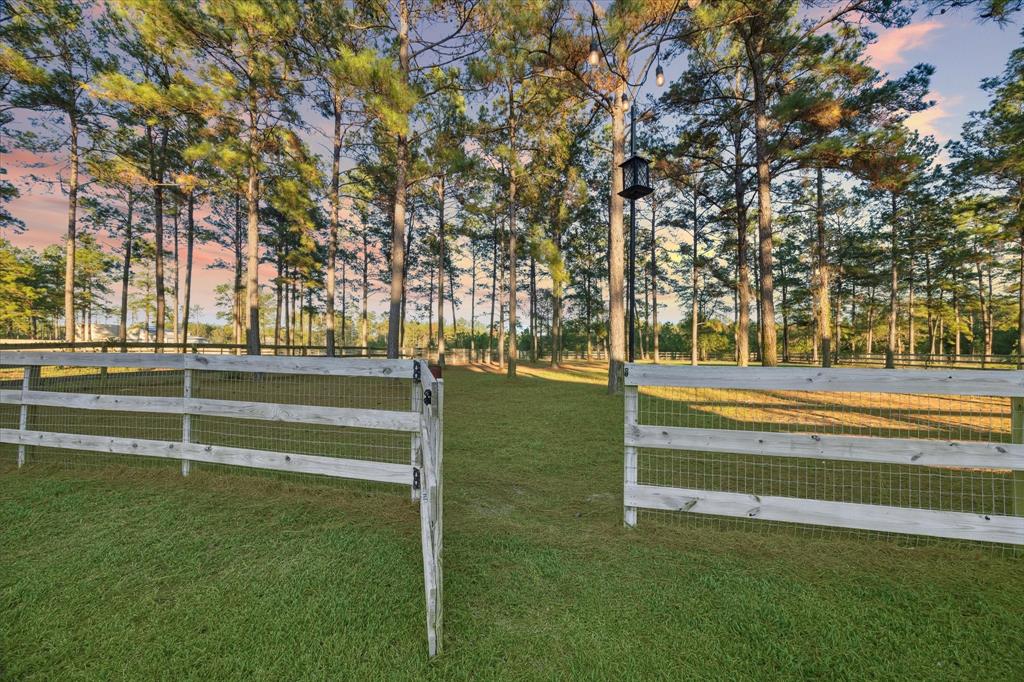 9822 Guadalupe Street, Conroe, Texas image 29