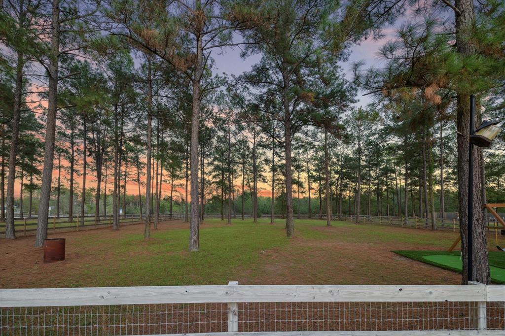 9822 Guadalupe Street, Conroe, Texas image 3