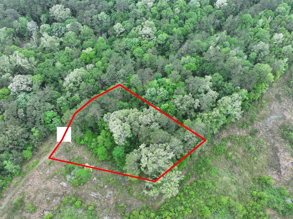 Fairway Dr, New Caney, Texas image 4