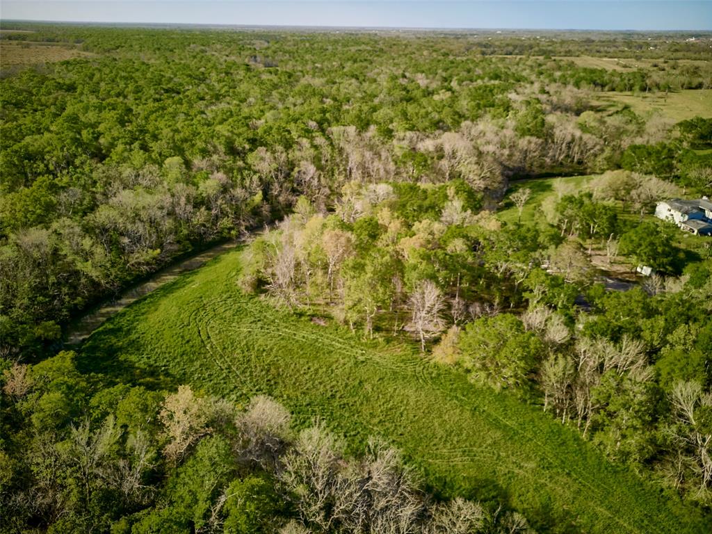 7018 S Oak Bend, Alvin, Texas image 12