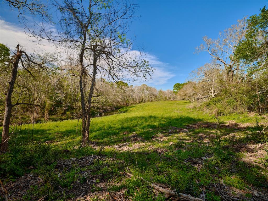 7018 S Oak Bend, Alvin, Texas image 15