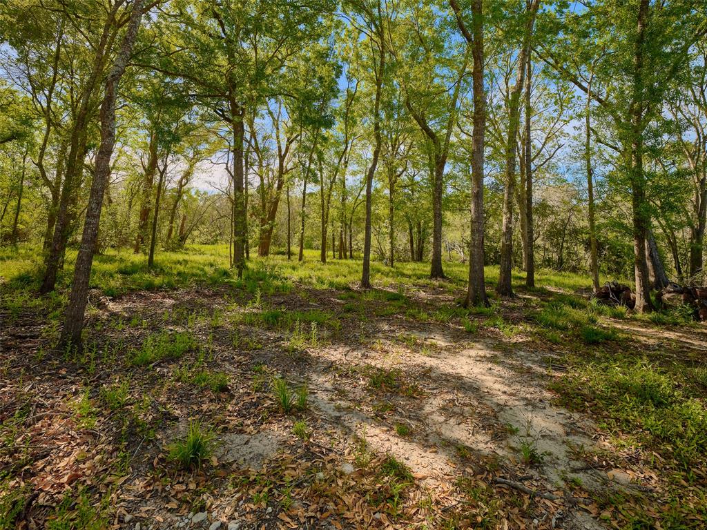7018 S Oak Bend, Alvin, Texas image 13
