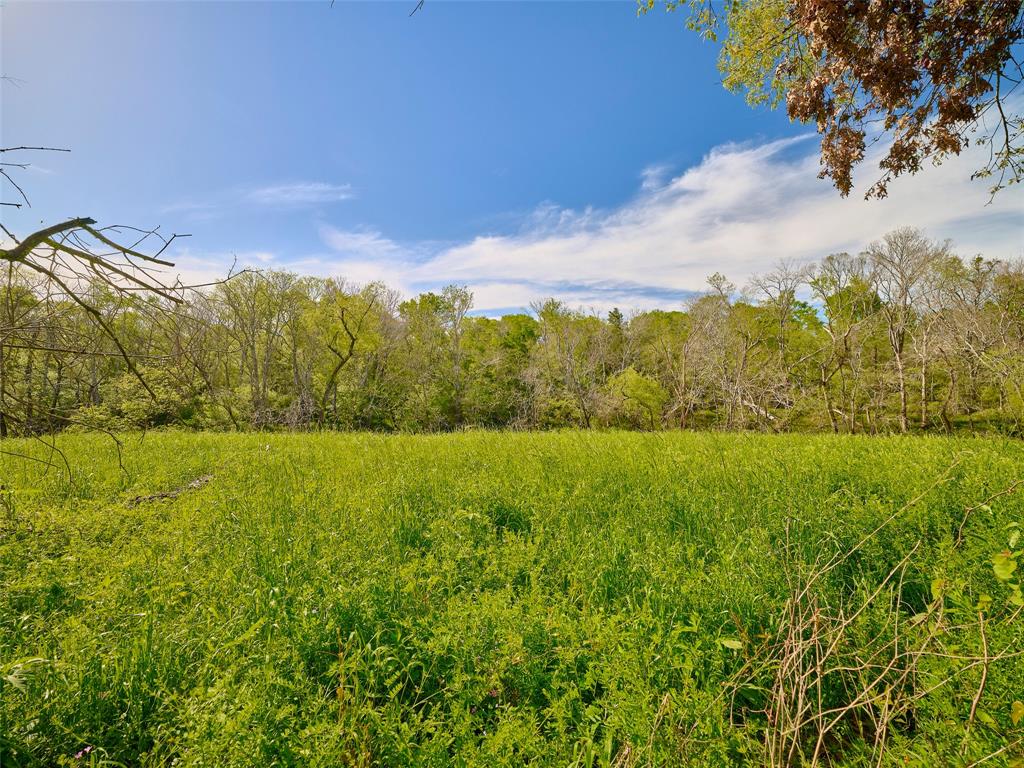 7018 S Oak Bend, Alvin, Texas image 14