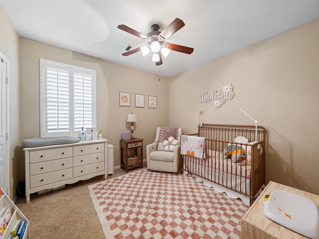 29954 Spring Creek Lane, Brookshire, Texas image 17