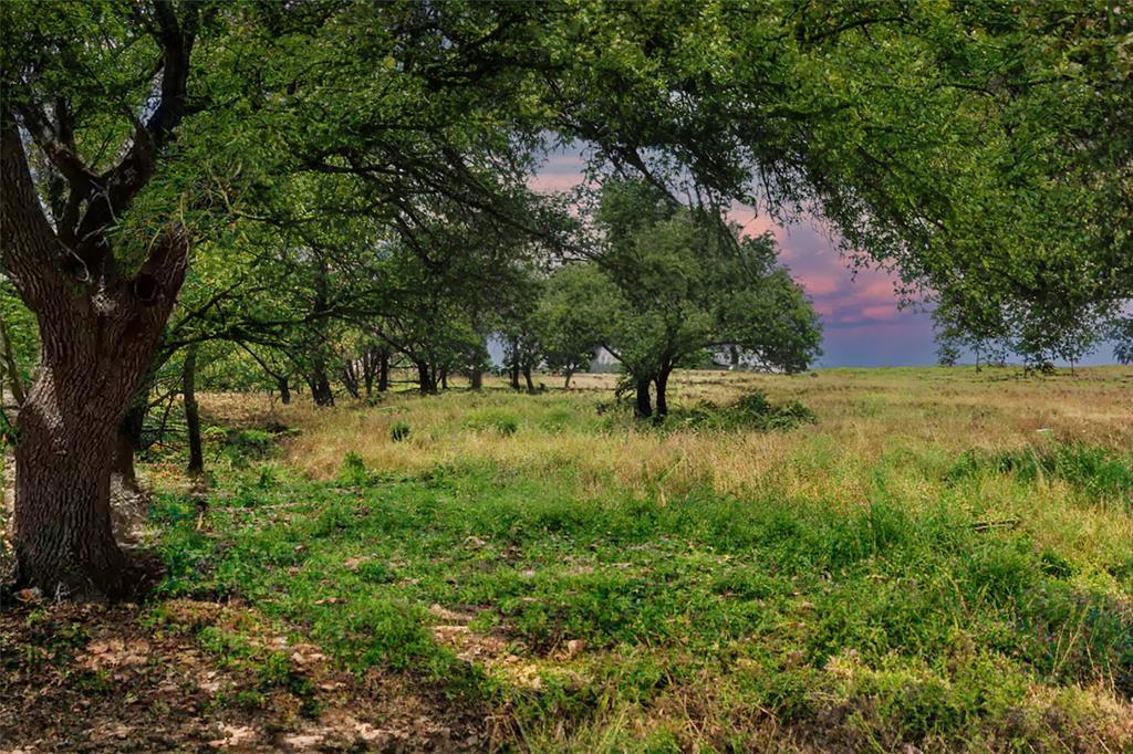 TBD W Flying Owl Drive, Johnson City, Texas image 5