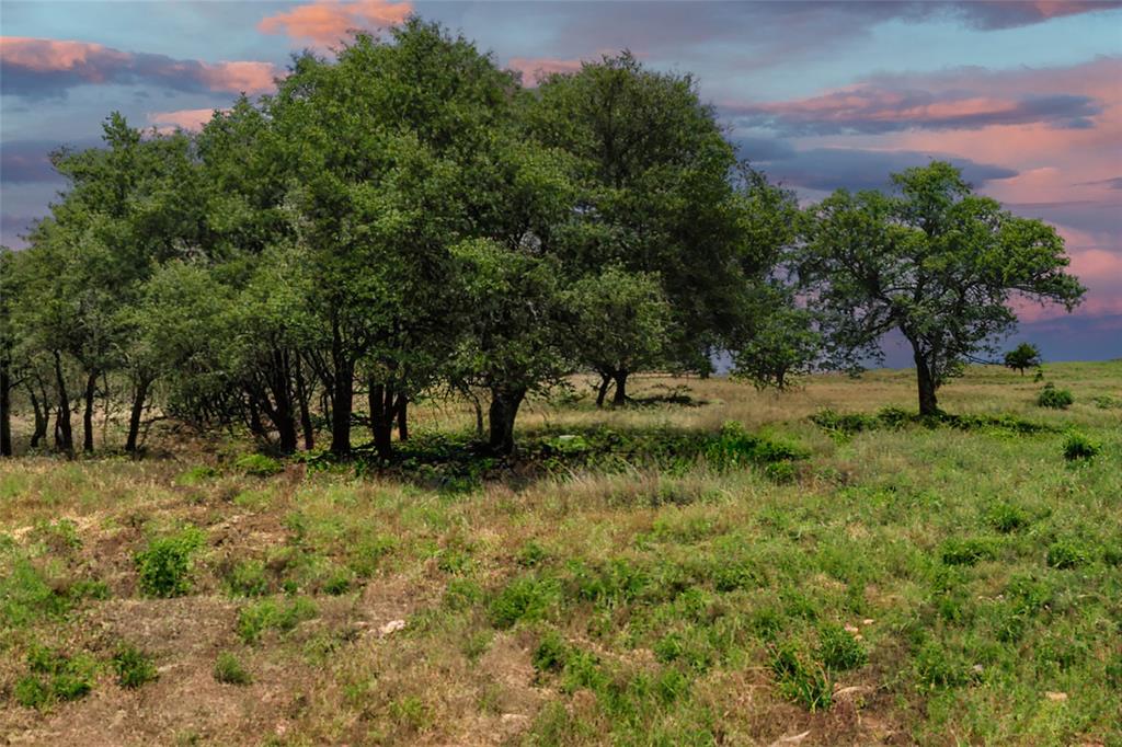 TBD W Flying Owl Drive, Johnson City, Texas image 4