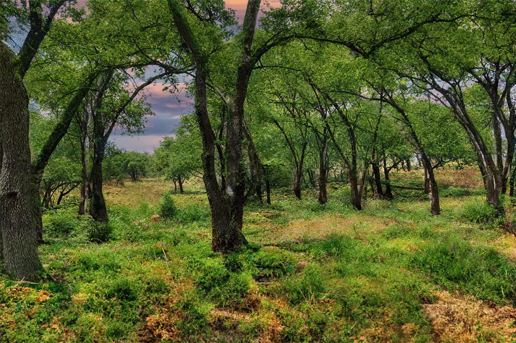 TBD W Flying Owl Drive, Johnson City, Texas image 6